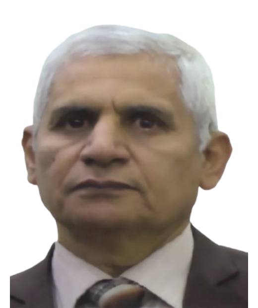 الأستاذ / علاء الدين عبد العزيز