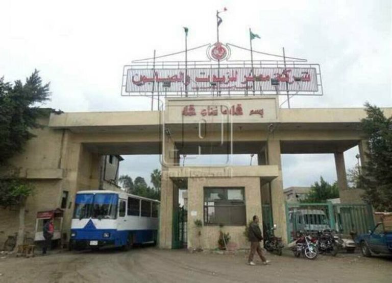أرباح مصر للزيوت والصابون تقفز لأكثر من 17 مليون جنيه خلال النصف الأول
